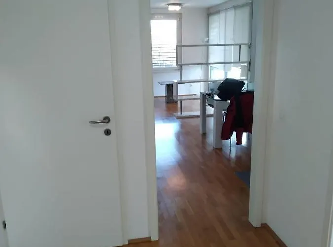 Donau Ufer Stadt Mitte לינץ